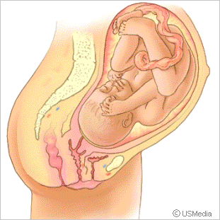 Entwicklung des Babys im 9. Monat