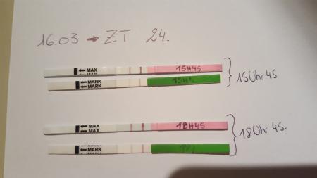 Testen uhrzeit wann ovulationstest WANN (