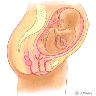 3 monat schwanger 3 Monat